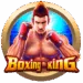 Boxing King Bangladesh